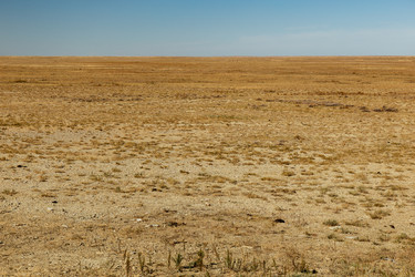 Similar image 21316925