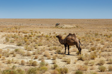 Similar image 21316931