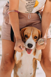 Similar image 21338952