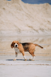 Similar image 21338955