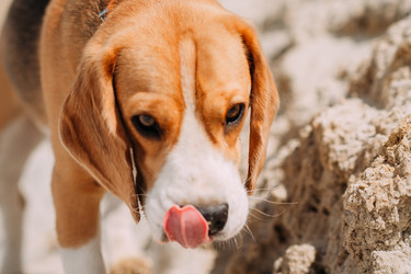 Similar image 21338997