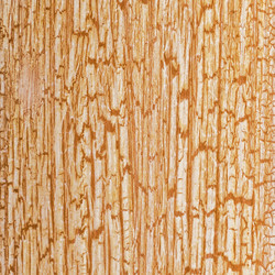 Similar image 21307449