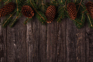 Similar image 21306509