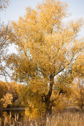 Similar image 21338873