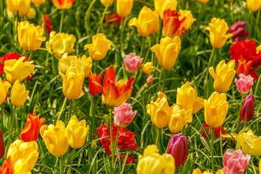 Similar image 21306531