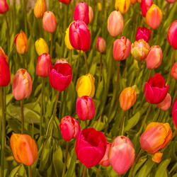 Similar image 21306533