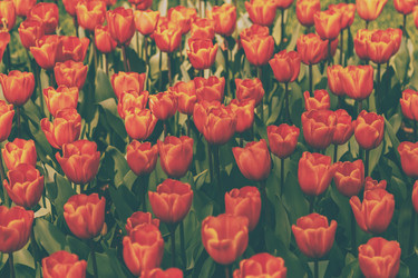 Similar image 21306534