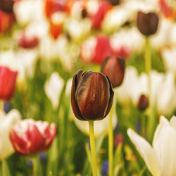 Similar image 21306535