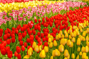 Similar image 21307460