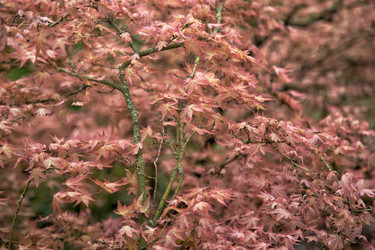 Similar image 21308047