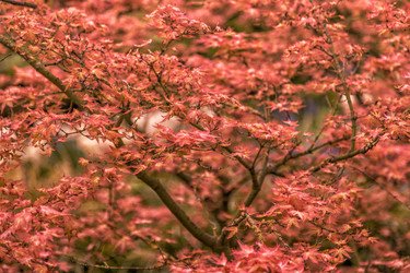 Similar image 21308050