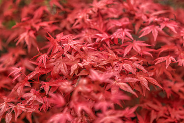 Similar image 21308066