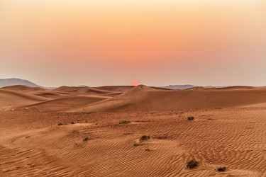 Similar image 21308103