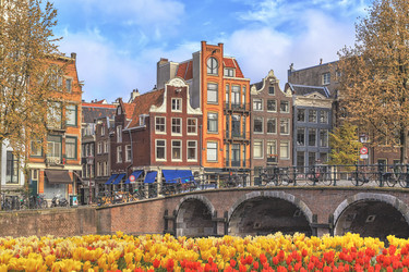 Similar image 21306571