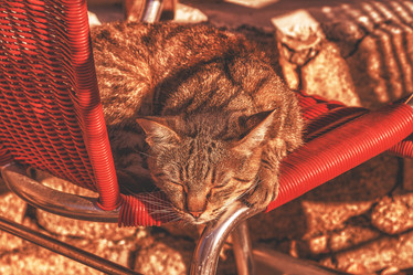 Similar image 21306614