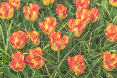 Similar image 21307508