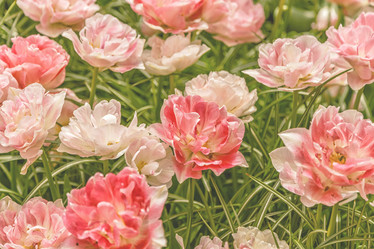 Similar image 21307510