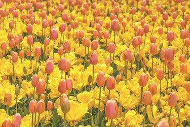 Similar image 21307512