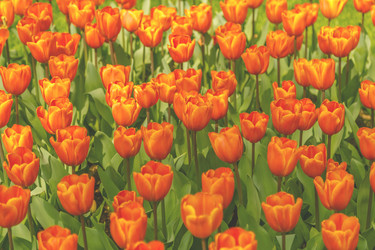 Similar image 21307514