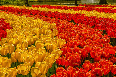 Similar image 21308108