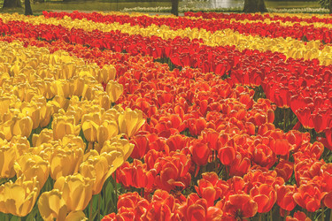 Similar image 21308110