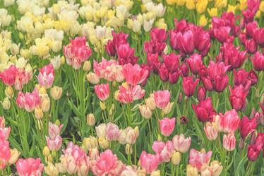 Similar image 21308112