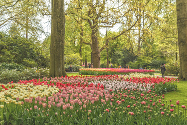 Similar image 21306289