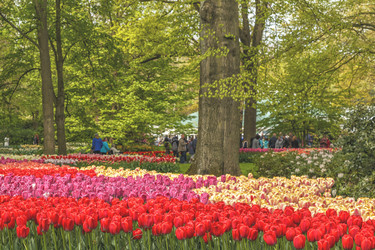 Similar image 21306290