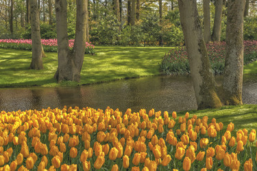 Similar image 21306294