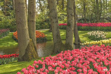 Similar image 21306296