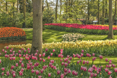 Similar image 21306297