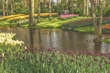 Similar image 21306299