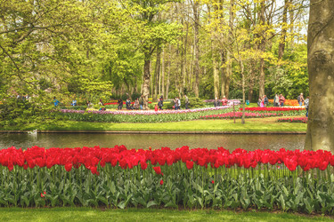 Similar image 21306300