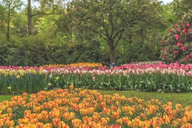 Similar image 21306310