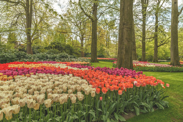 Similar image 21306316