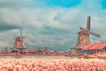 Similar image 21307524