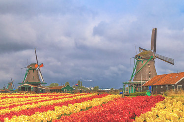 Similar image 21307526