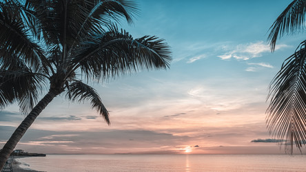 Similar image 21306680