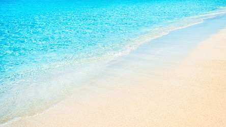 Similar image 21306684