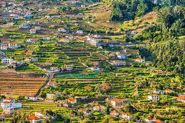 Similar image 21306687