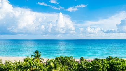 Similar image 21306688