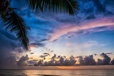 Similar image 21306690