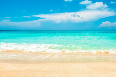 Similar image 21307566