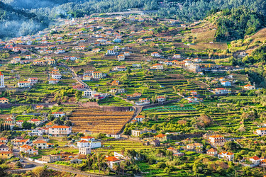 Similar image 21307590