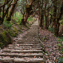 Similar image 21305944