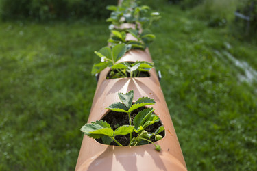 Similar image 21305950