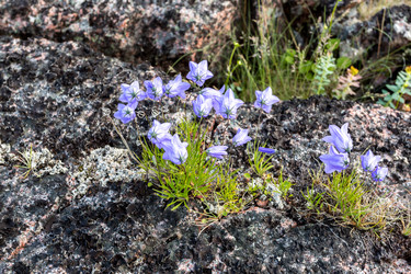 Similar image 21305953