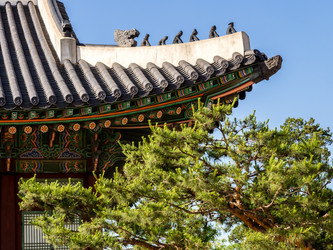 Similar image 21305955