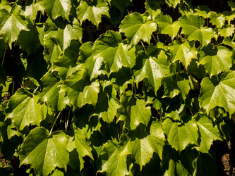 Similar image 21305966