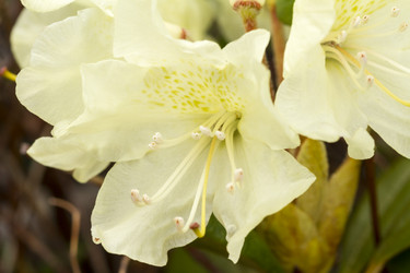 Similar image 21305970